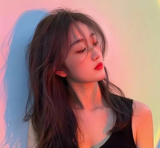 樱花树下的时间胶囊